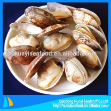 frozen cooked short necked clam popular ready to eat seafood